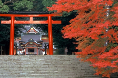 �y�G�[�XJTB�E�������s�z�������c�A�[�E�������̗��فE�z�e���\��@